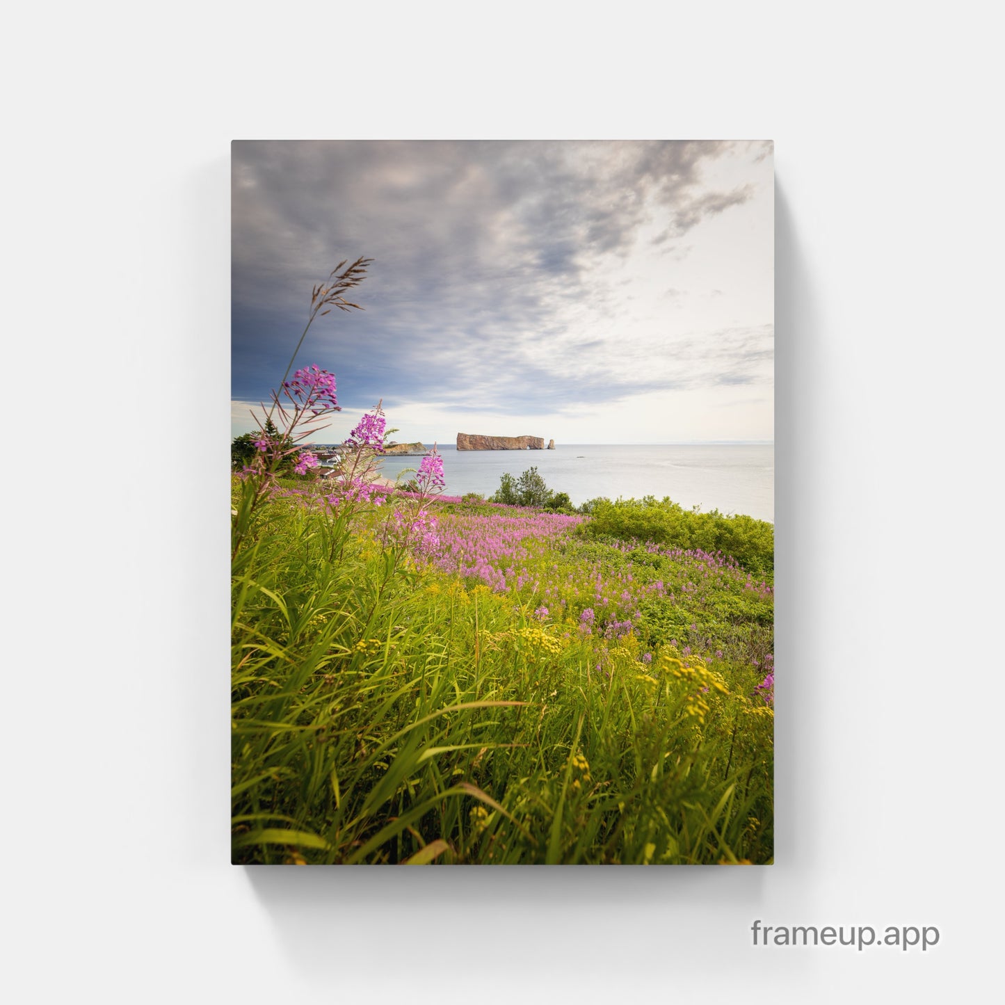 Beauté floral