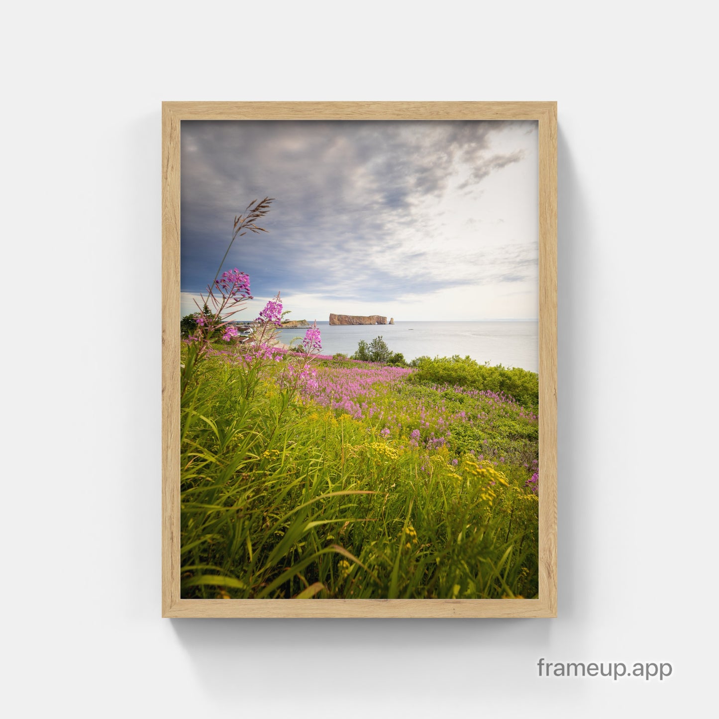Beauté floral