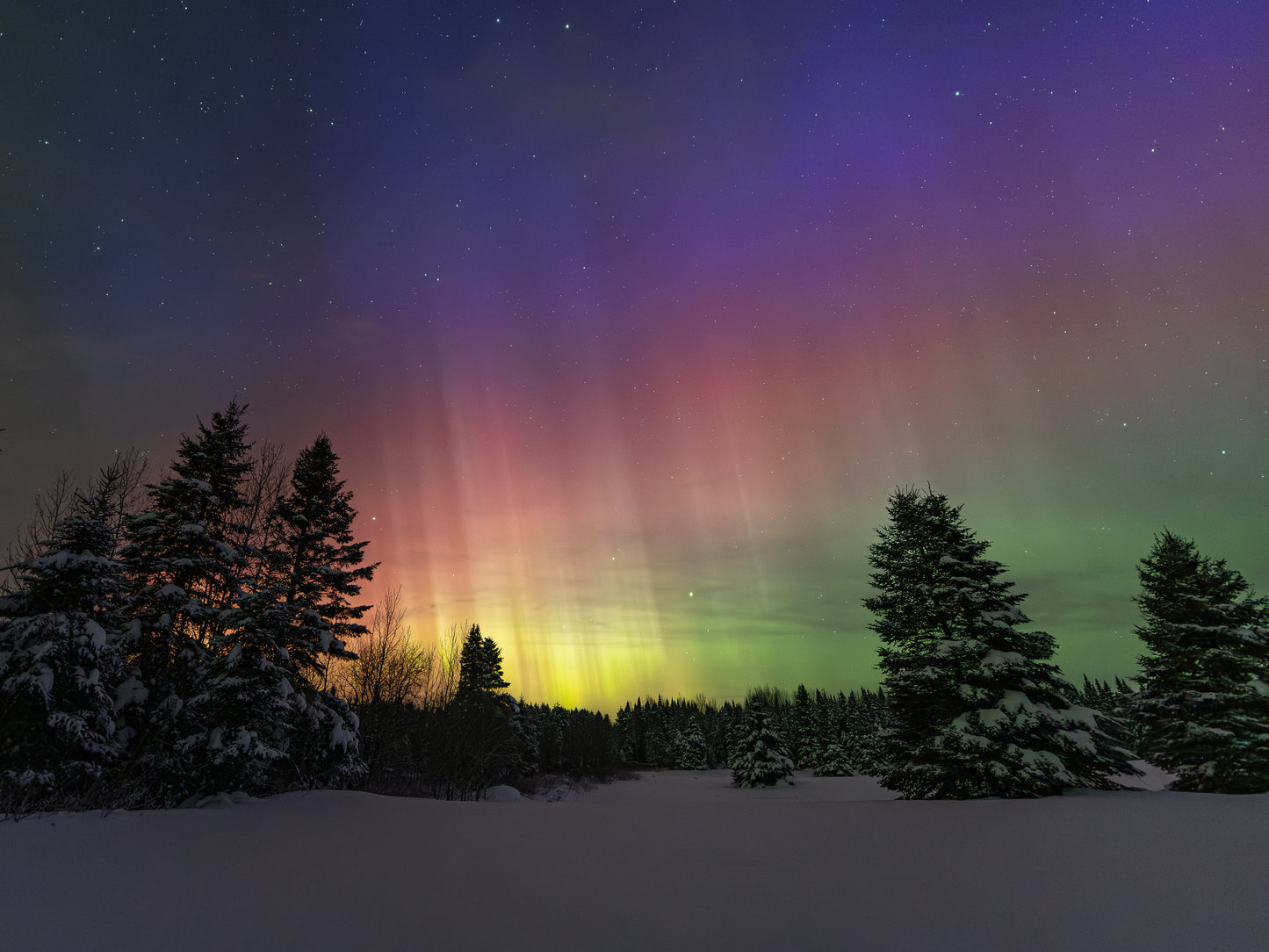 Magie Boreal