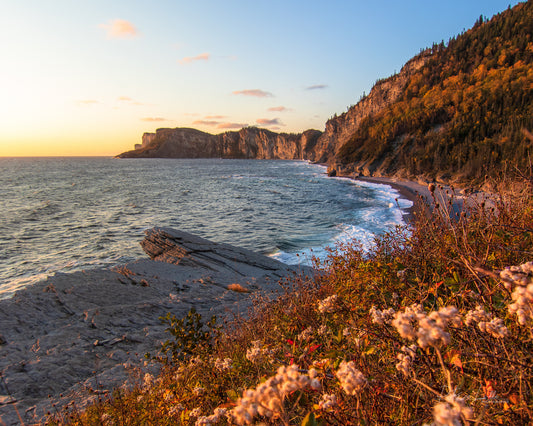 Cap BonAmi