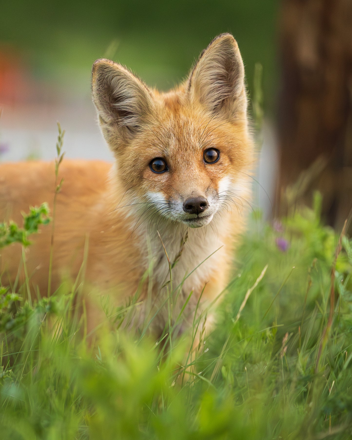 Rencontre inattendu